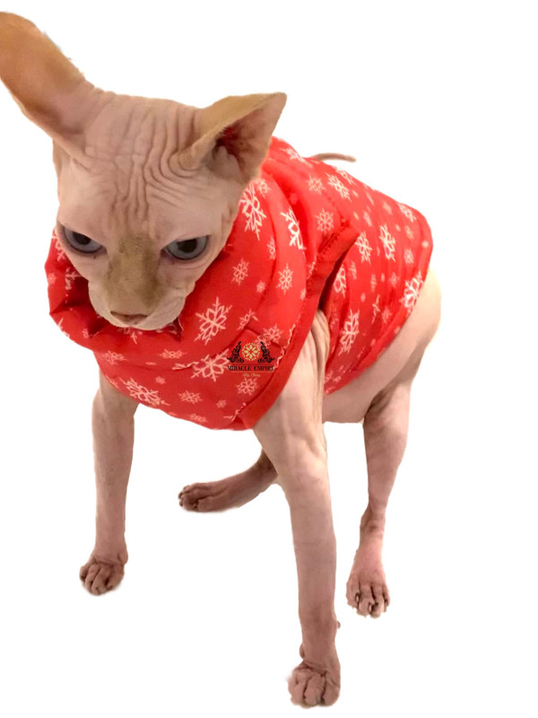 Gargamel Pet attire easy wear and confortable for your pet cat and dog friendly