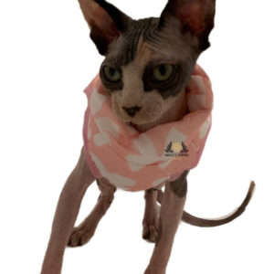 Lily Rose Kitten Pet attire easy wear and confortable for your pet cat and dog friendly