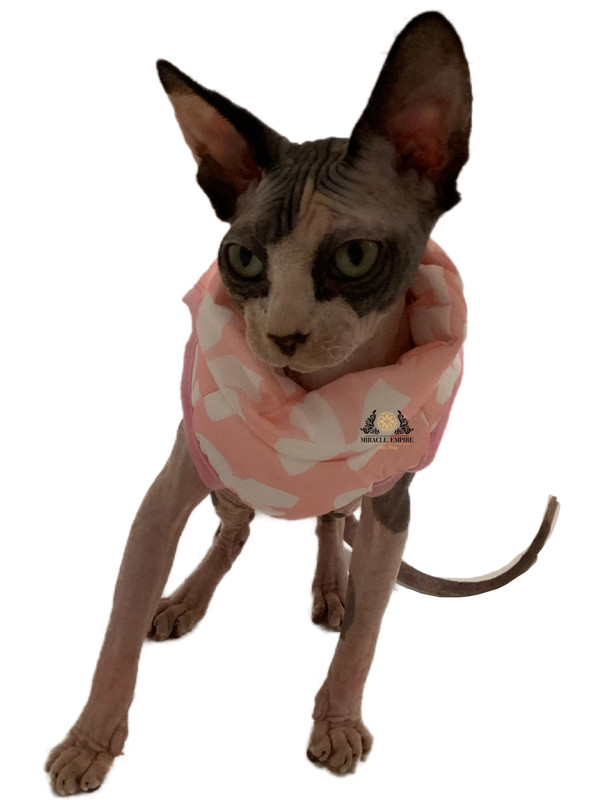 Lily Rose Kitten Pet attire easy wear and confortable for your pet cat and dog friendly