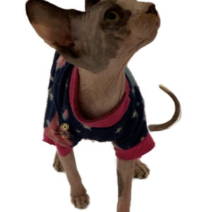 Lily Rose Kitten Sweater for Pets Attire Cold Protected confortable pet friendly easy wear cat and dog